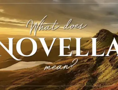 What Is Novella Mean